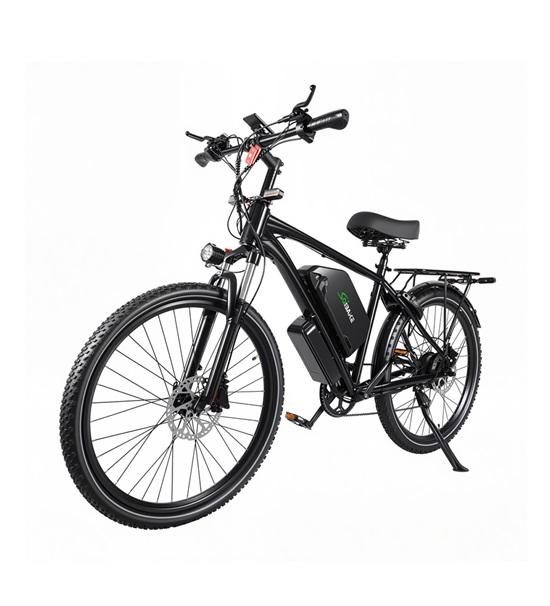 BMS plus 1 (01)